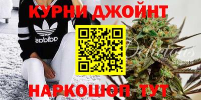 шишки Краснознаменск
