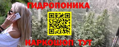 шишки Краснознаменск